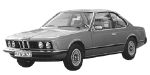 BMW E24 P1491 Fault Code